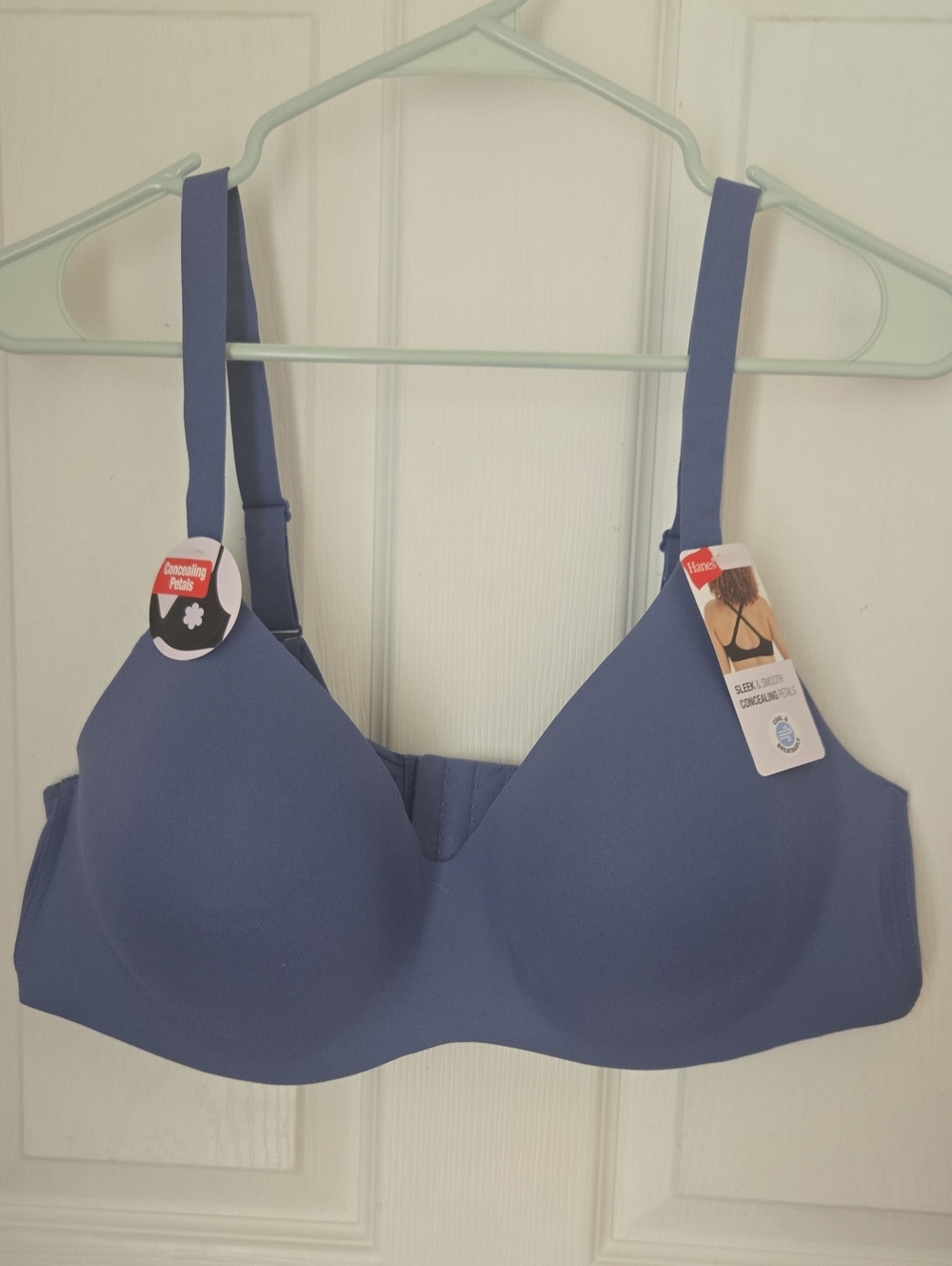 Hanes Smooth Seamless Slate Blue Bra